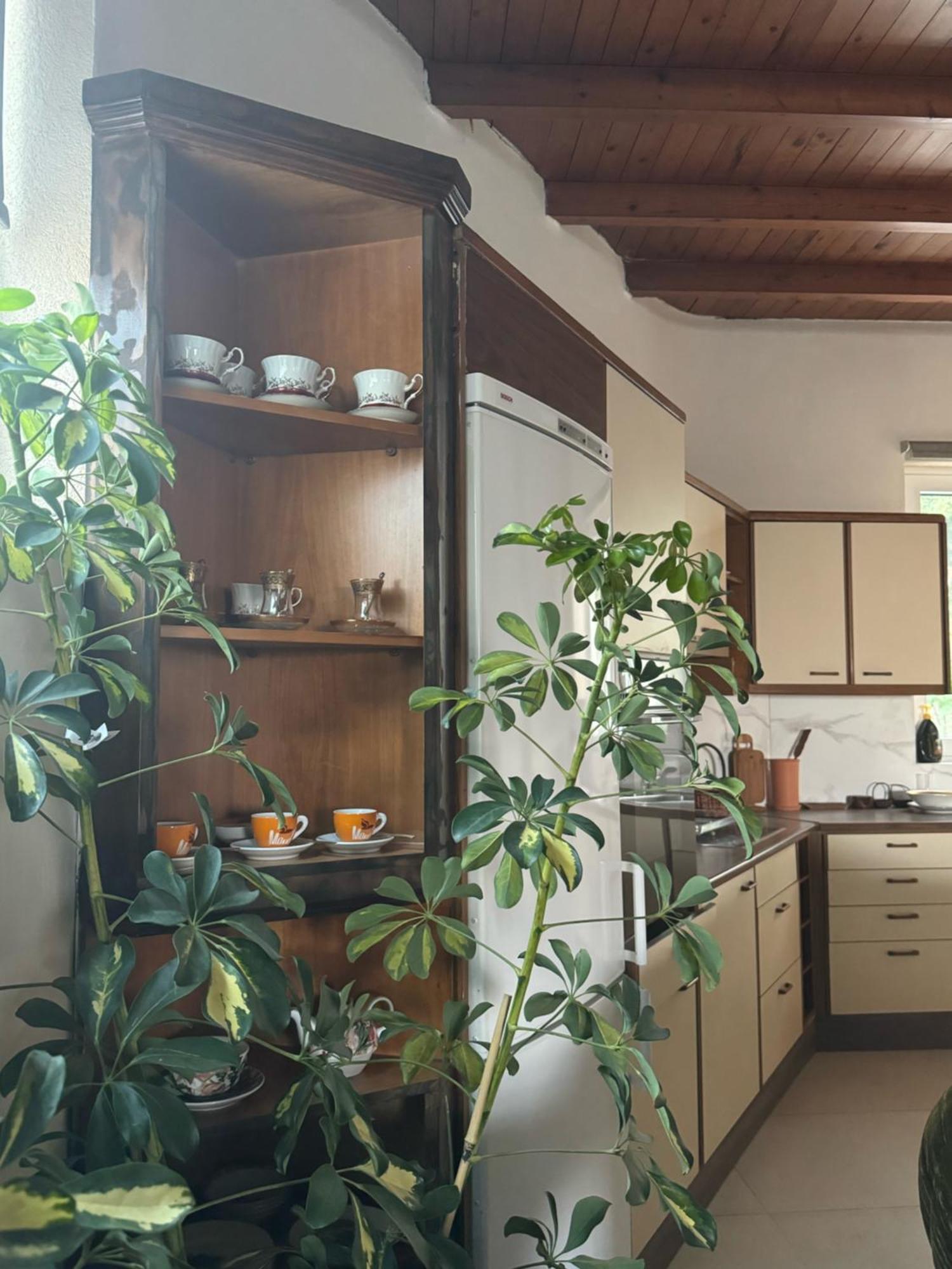 Classic Apartment Méronas Extérieur photo